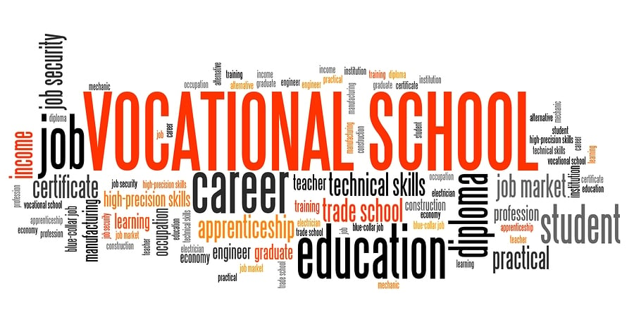 THE IMPORTANCE OF VOCATIONAL EDUCATION